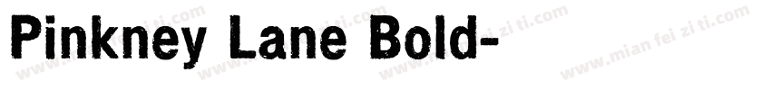 Pinkney Lane Bold字体转换